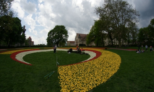 Poznańskie Dywany Kwiatowe-realizacja projektu